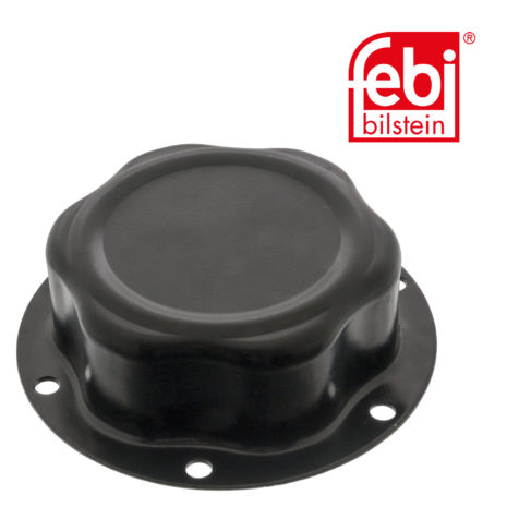 LPM Truck Parts - HUB CAP (21202627)