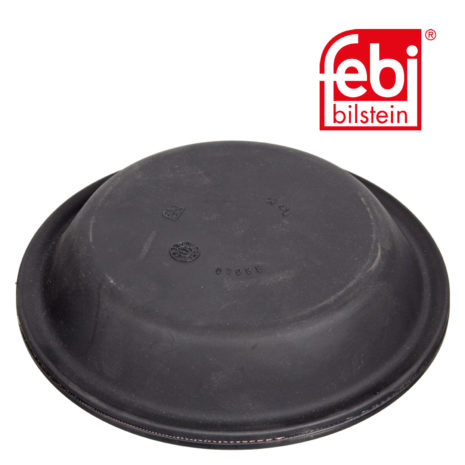 LPM Truck Parts - DIAPHRAGM (0143112)