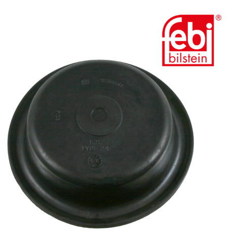 LPM Truck Parts - DIAPHRAGM (1320138)