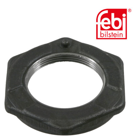 LPM Truck Parts - AXLE NUT (1011004002)