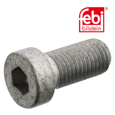 LPM Truck Parts - BOLT (0059906104)