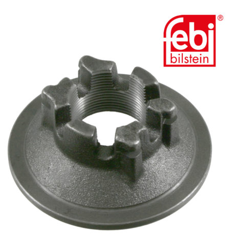 LPM Truck Parts - AXLE NUT (0326646020)