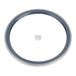 LPM Truck Parts - SEAL RING (0256640400)