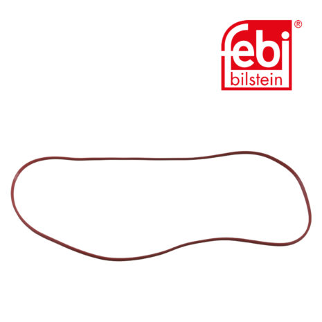 LPM Truck Parts - ROCKER COVER GASKET (004845138)