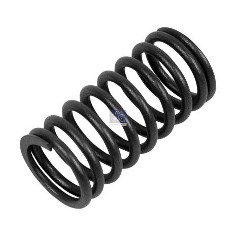 LPM Truck Parts - VALVE SPRING, INTAKE AND EXHAUST INNER(170043 - 1728922)