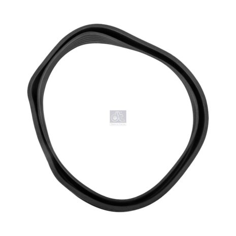 LPM Truck Parts - SEAL RING, AIR INLET(1424854)