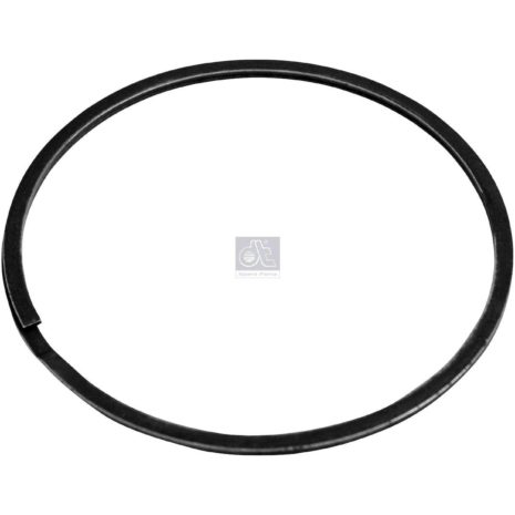 LPM Truck Parts - SEAL RING (1775966)