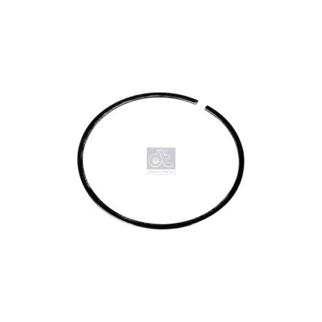 LPM Truck Parts - SEAL RING (1776901)