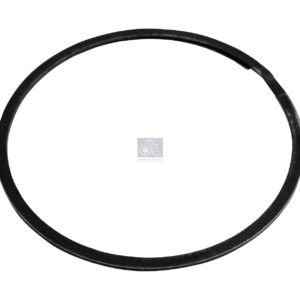 LPM Truck Parts - SEAL RING (1775965)