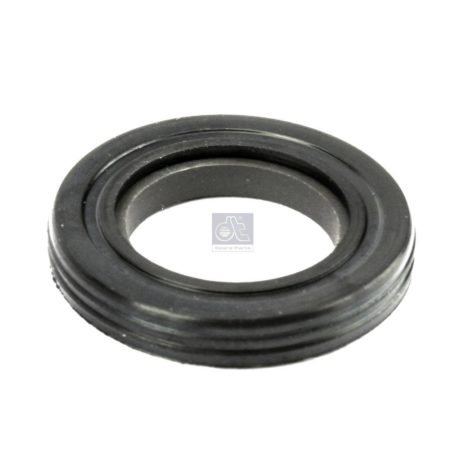 LPM Truck Parts - SUPPORTING RING (288889 - 311438)