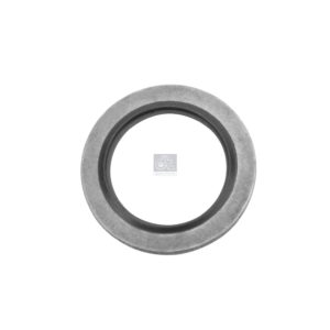 LPM Truck Parts - SEAL RING (06566310107 - 976930)