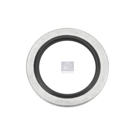 LPM Truck Parts - SEAL RING (98474311 - 1726426)