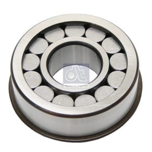 LPM Truck Parts - CYLINDER ROLLER BEARING (1331313 - 1746781)
