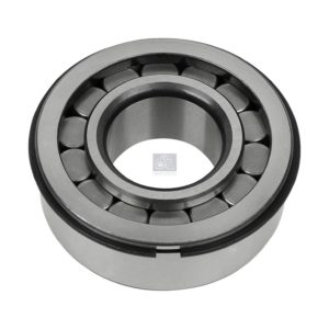 LPM Truck Parts - CYLINDER ROLLER BEARING (5010241406 - 1768383)