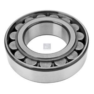 LPM Truck Parts - CYLINDER ROLLER BEARING (1408178)