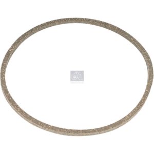 LPM Truck Parts - SEAL RING (120310)