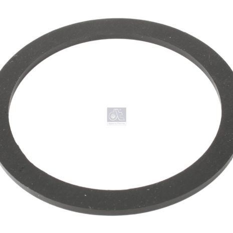 LPM Truck Parts - SEAL RING, OIL CONTAINER (0699213 - 1696360)
