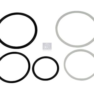 LPM Truck Parts - ORING KIT (1731209)