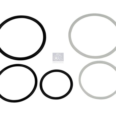 LPM Truck Parts - ORING KIT (1731209)