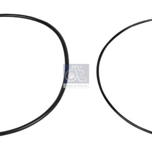 LPM Truck Parts - SEAL RING KIT, CYLINDER LINER (1862376S)