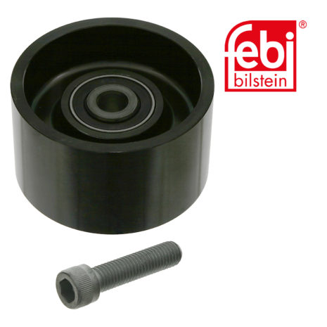 LPM Truck Parts - IDLER PULLEY (51958006035)