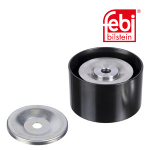 LPM Truck Parts - IDLER PULLEY (0005501833)