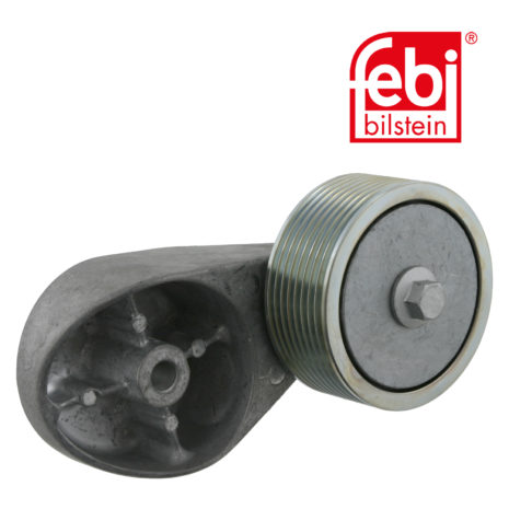 LPM Truck Parts - IDLER PULLEY (9062002670)