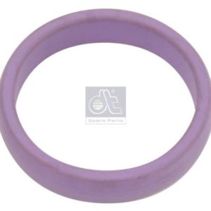 LPM Truck Parts - SEAL RING (7420555696 - 21780376)