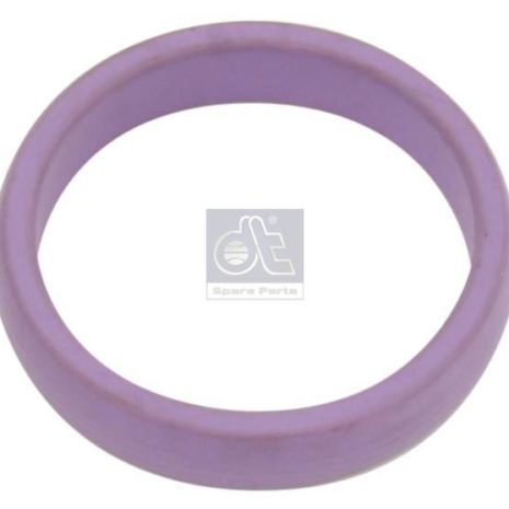 LPM Truck Parts - SEAL RING (7420555696 - 21780376)