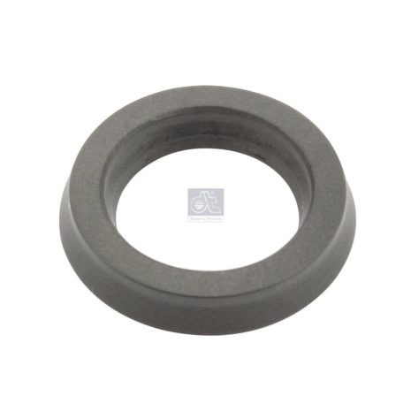 LPM Truck Parts - SEAL RING (467304)