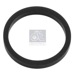 LPM Truck Parts - SEAL RING (423281)