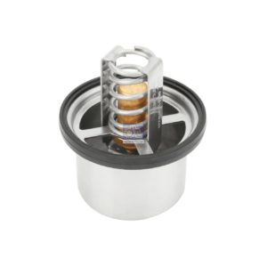 LPM Truck Parts - THERMOSTAT (1661993S)