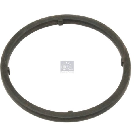 LPM Truck Parts - SEAL RING, WATER PUMP (1556389)