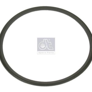 LPM Truck Parts - SEAL RING (20525809)