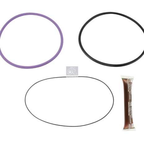 LPM Truck Parts - SEAL RING KIT, CYLINDER LINER (271158 - 275739)