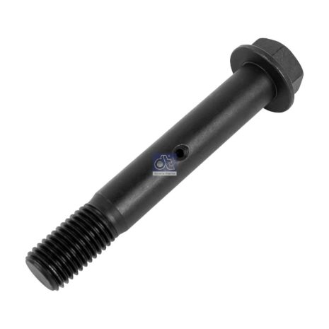 LPM Truck Parts - SCREW (20941429)