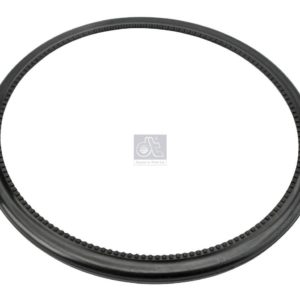 LPM Truck Parts - SEAL RING (7401076656 - 1076656)