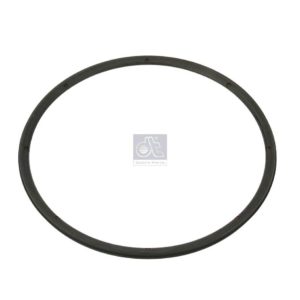 LPM Truck Parts - SEAL RING (7403199066 - 3199066)