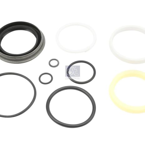 LPM Truck Parts - GASKET KIT, CABIN TILT CYLINDER (3090721)