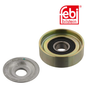LPM Truck Parts - IDLER PULLEY (51958006106)
