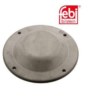 LPM Truck Parts - HUB CAP (1691965)