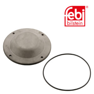 LPM Truck Parts - HUB CAP (1691965S1)