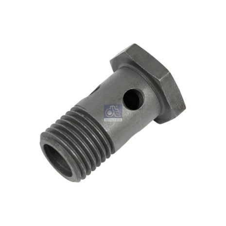 LPM Truck Parts - HOLLOW SCREW (51981500048 - 81981500109)
