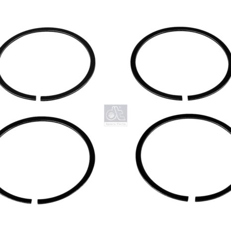 LPM Truck Parts - SEAL RING KIT, EXHAUST MANIFOLD (51987010121)