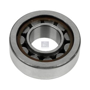 LPM Truck Parts - CYLINDER ROLLER BEARING (06325790075)