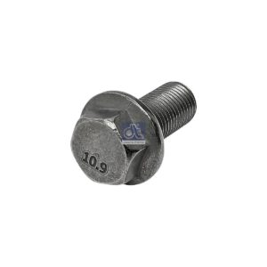 LPM Truck Parts - SCREW (06027925109 - 64900200199)