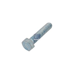 LPM Truck Parts - HEXAGON SCREW (06012835119)