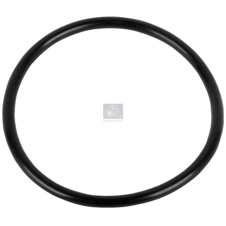 LPM Truck Parts - ORING (06569302985)