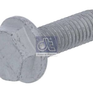 LPM Truck Parts - SCREW (N1011003404)