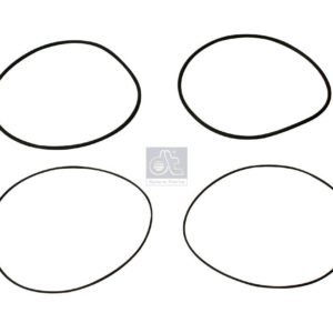 LPM Truck Parts - SEAL RING KIT (51965010493S)